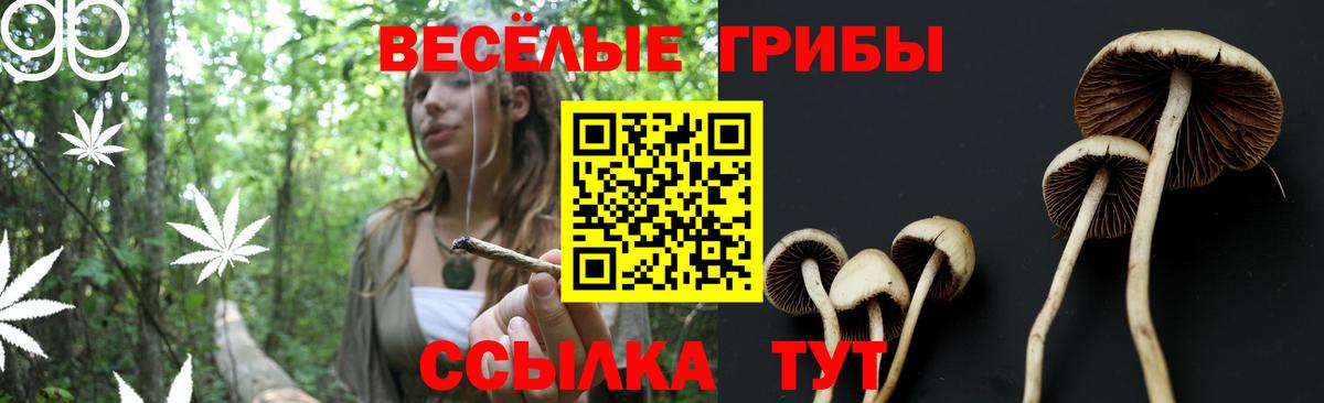 Галлюциногенные грибы мицелий  Псилоцибиновые грибы мухоморы  Вход с VPN  Азов 
